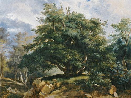 Jules Coignet The Old Oak in the Forest of Fontainebleau France oil painting art